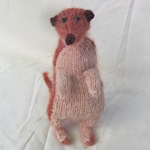 Meerkat