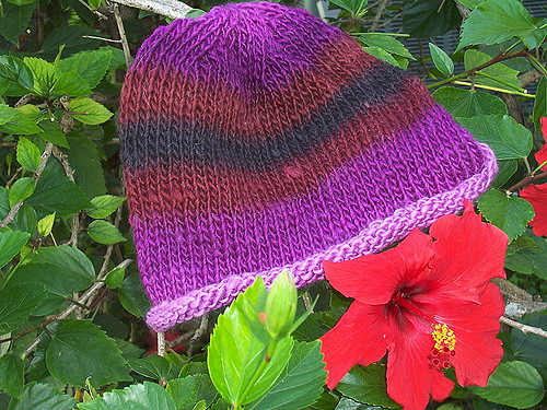 Basic Roll Brim Hat