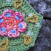 Pied Beauty Hexagon photo 4