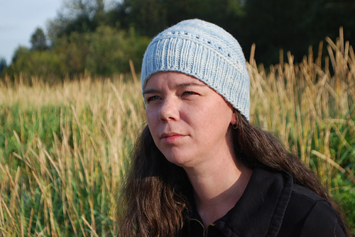 The Hybrid Hat