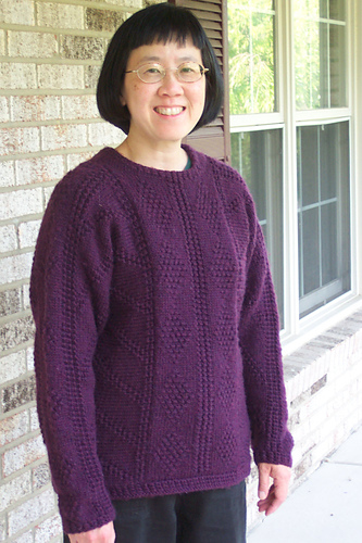 Panels in Plum Pullover