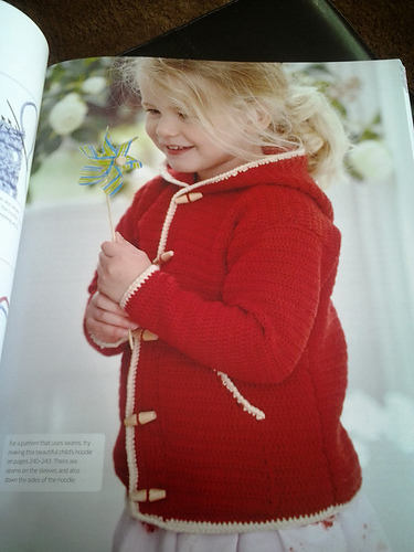 Toddler Hoodie
