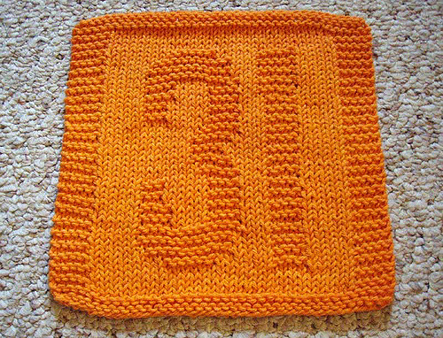 #31 Jeff Burton dishcloth