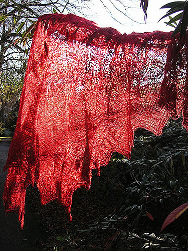 Summer Shawl