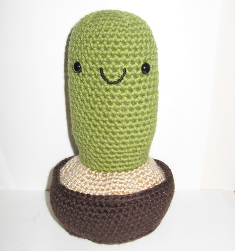 Mr. Cactus