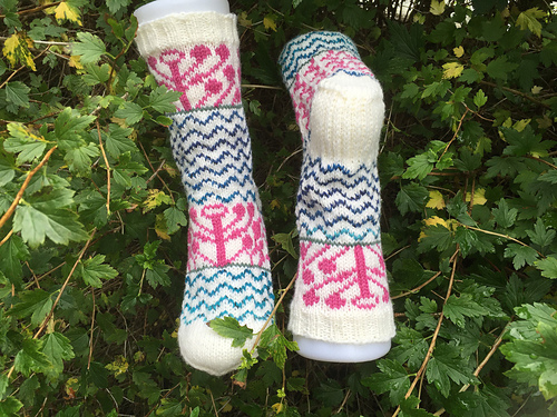 Strandnellik - byNorwayKateFlickr