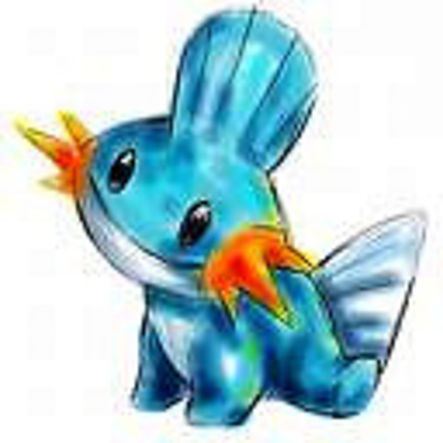 Mudkip Blanket