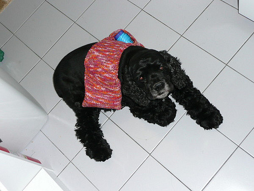 "Get Along Little Doggy" Saddlebag