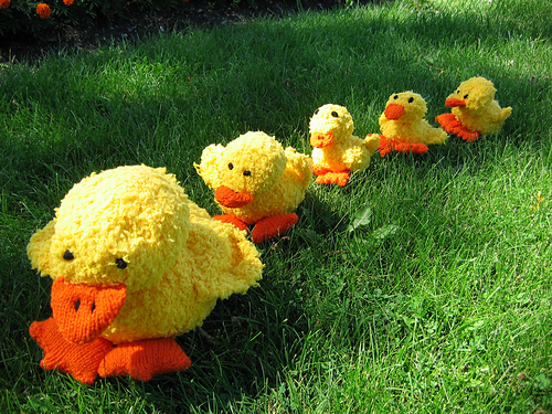 Toy Ducks