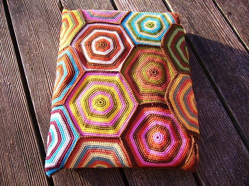 Phazelia's Laptop case photo 1
