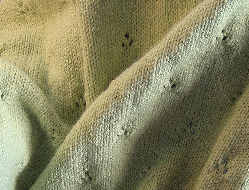 Eyelet Baby Blanket