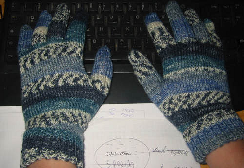 Fingerhandschuhe (Gloves)