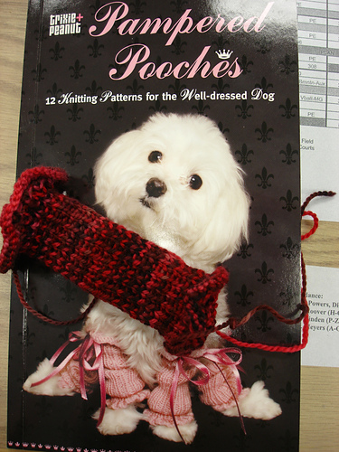 Luxe Leg Warmers