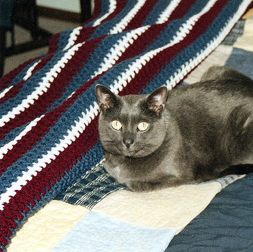 Christmas Afghan