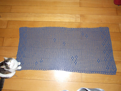 Filet Crochet Wrap