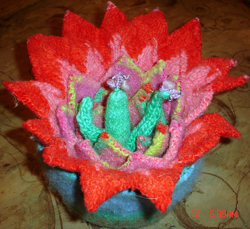 Cactus Cakes photo 1