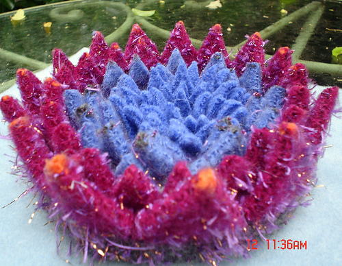 Cactus Cakes photo 5