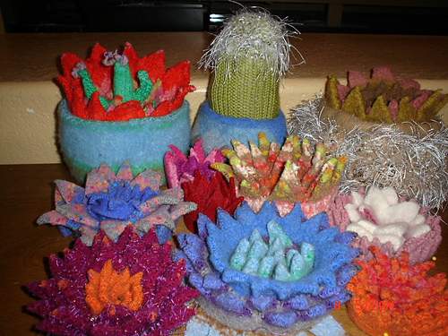 Cactus Cakes photo 3