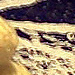 Quackers the Duck pattern 