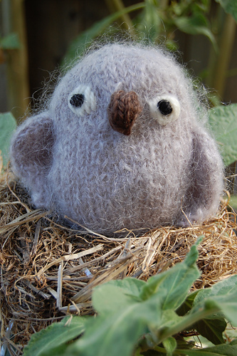 Owlet and Chick Softies