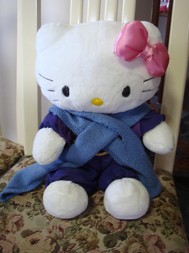 Stocking Stitch Scarf with Moss Stitch Edging