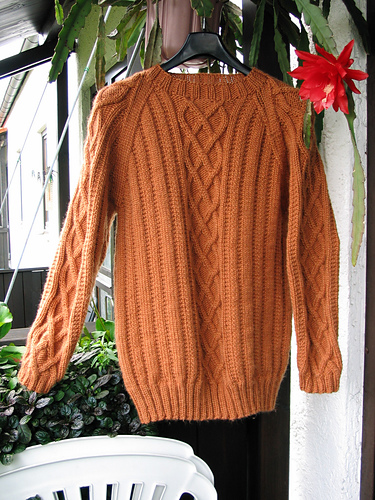 Modell 28 Cabled Raglan Sweater for Men