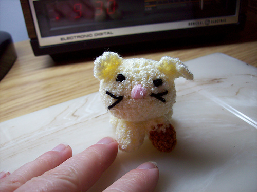 Itty Bitty Kitty