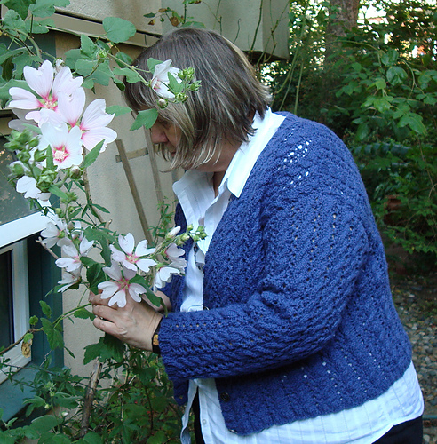 Bay Cardigan