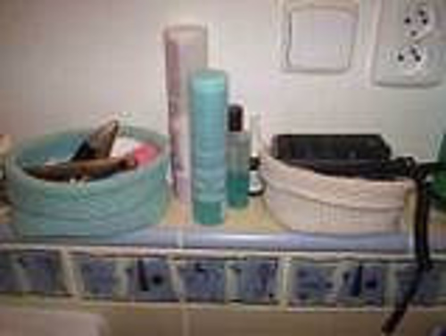 Baskets