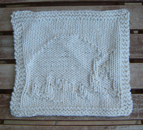 Armadillo Cloth
