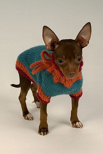 Agnes Sweater