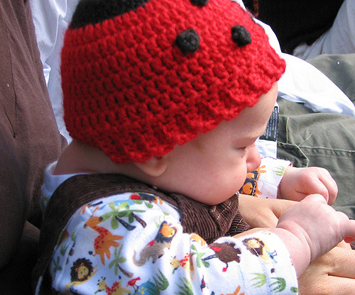 Ladybug, Ladybug