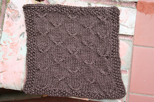 #423 Raspberry Jam Washcloth