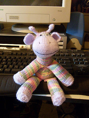 Sock  Giraffe photo 9