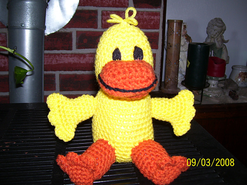 Duck