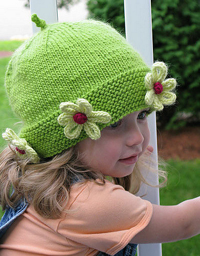Daisy Chapeau