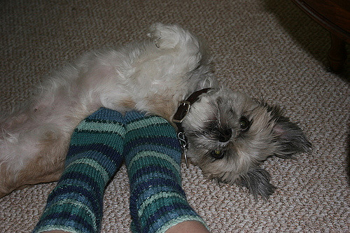 Silver's Sock Class photo 10