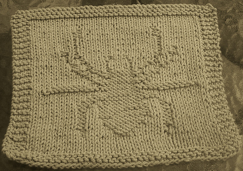 Spooky Spider Knit Dishcloth