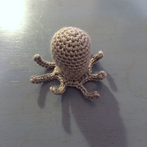 Sea Life - Octopus