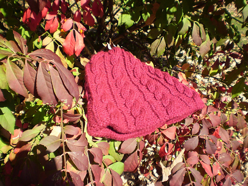 Elma Cabled Hat