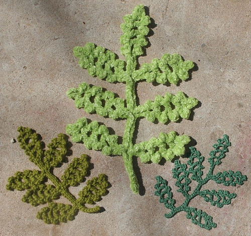 Compound Leaf, Toothy