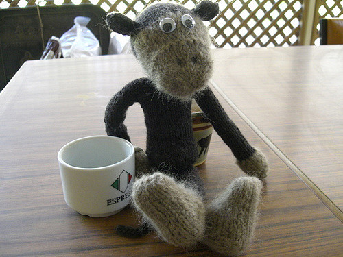 Nim the monkey/ape