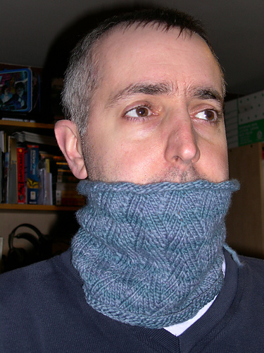 The Guy Next Door Cowl