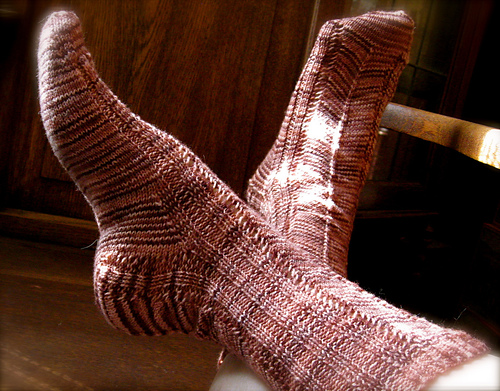 Bromilliad Socks