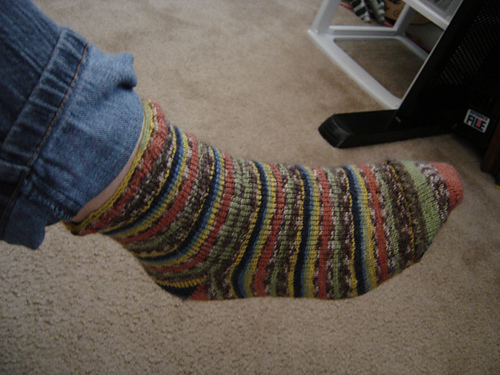 Family of Basic Socks