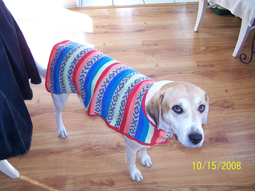 Stripy Coat and Leg Warmers