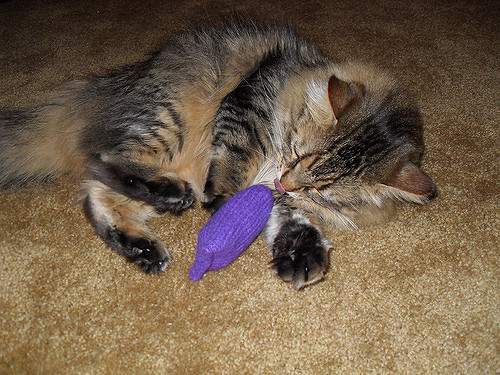 Felted Catnip Bag photo 2