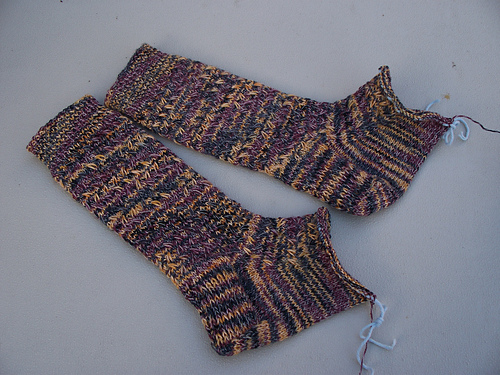 Creeping Vines Socks
