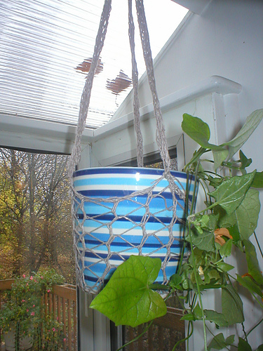 Knitted Plant Hanger