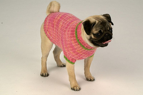 Lemon Sweater